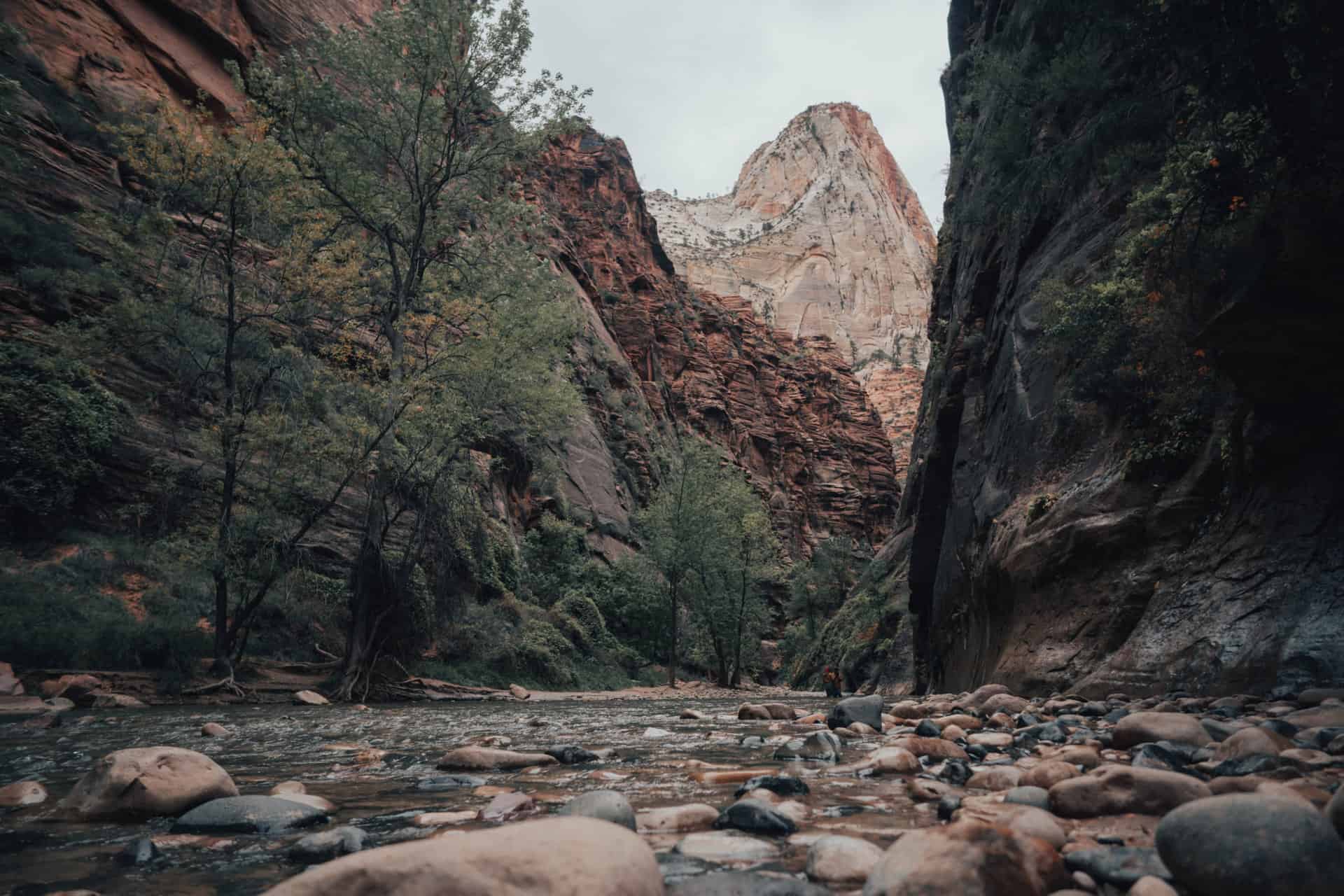 The Narrows at Zion