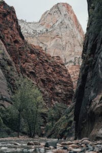 Zion the Narrows