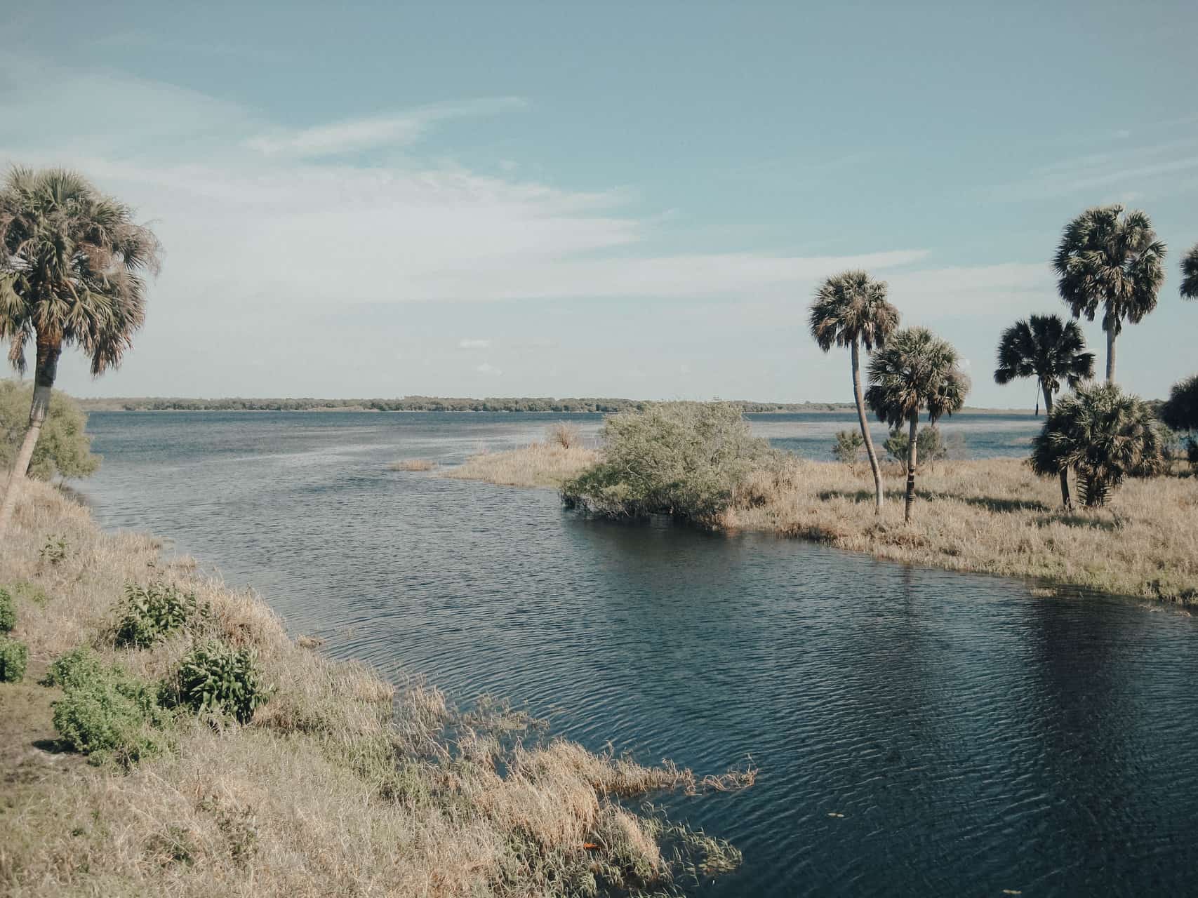 Myakka River