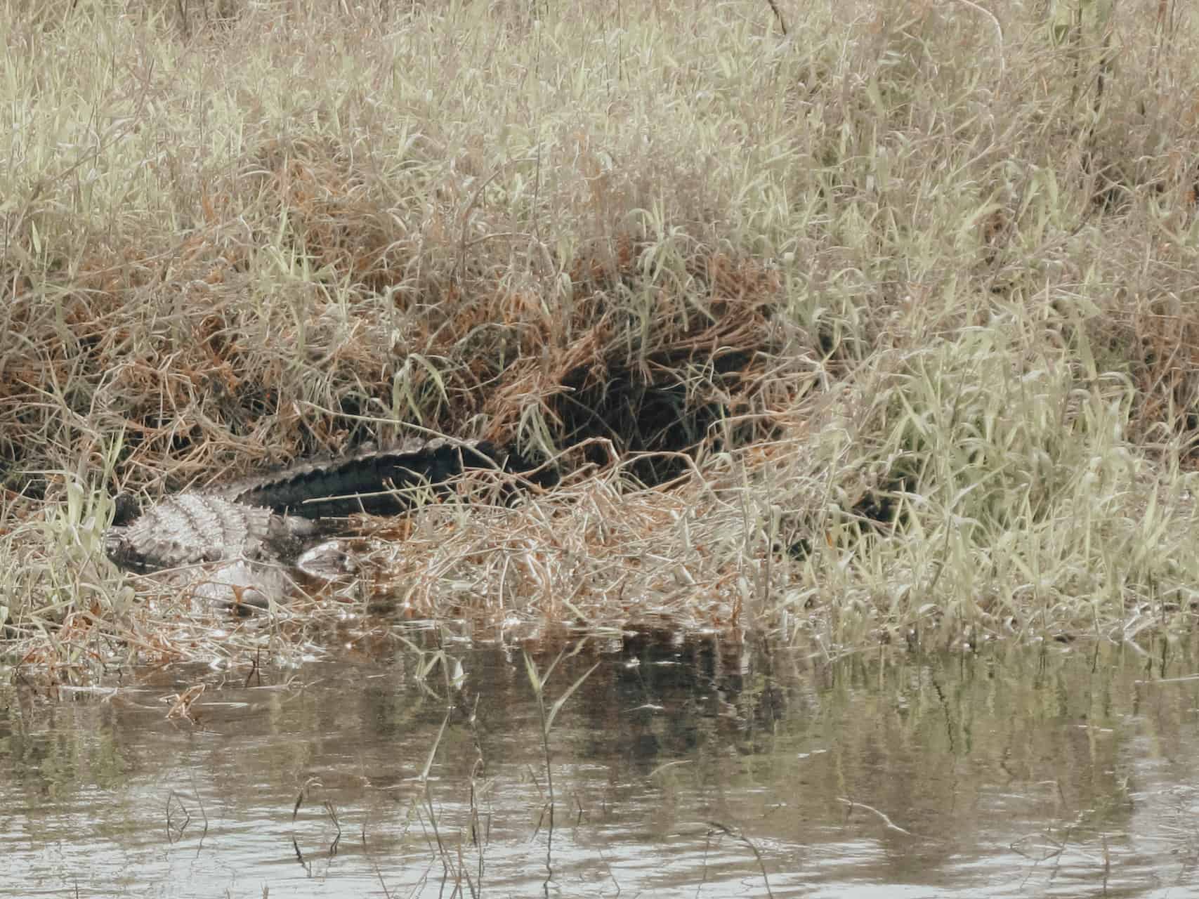 Myakka River Park