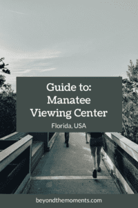 Manatee Viewing Center pin