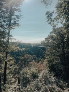 New River Gorge lookout