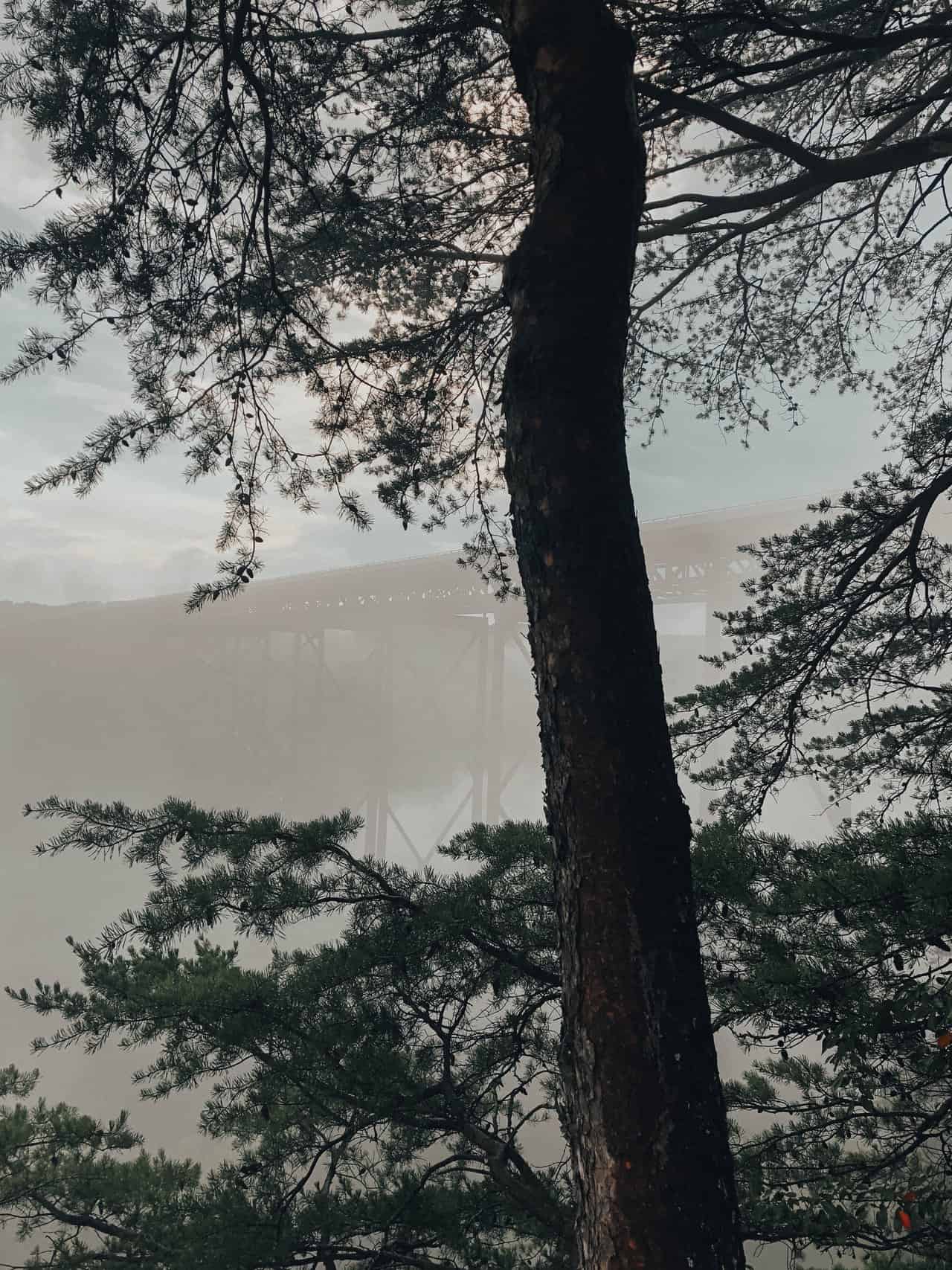 West Virginia New River Gorge overlook