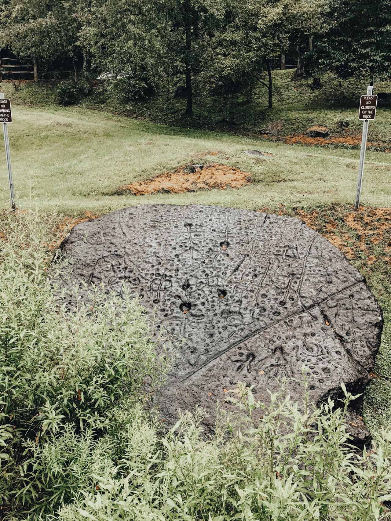 Judaculla Rock cullowhee North Carolina