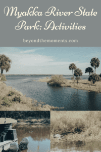 Myakka River Florida pin