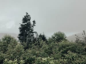 Great smoky mountains national park