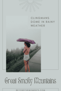 Clingmans Dome weather