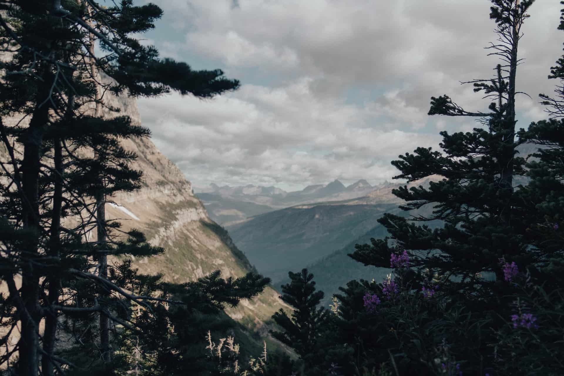 Highline Trail Glacier