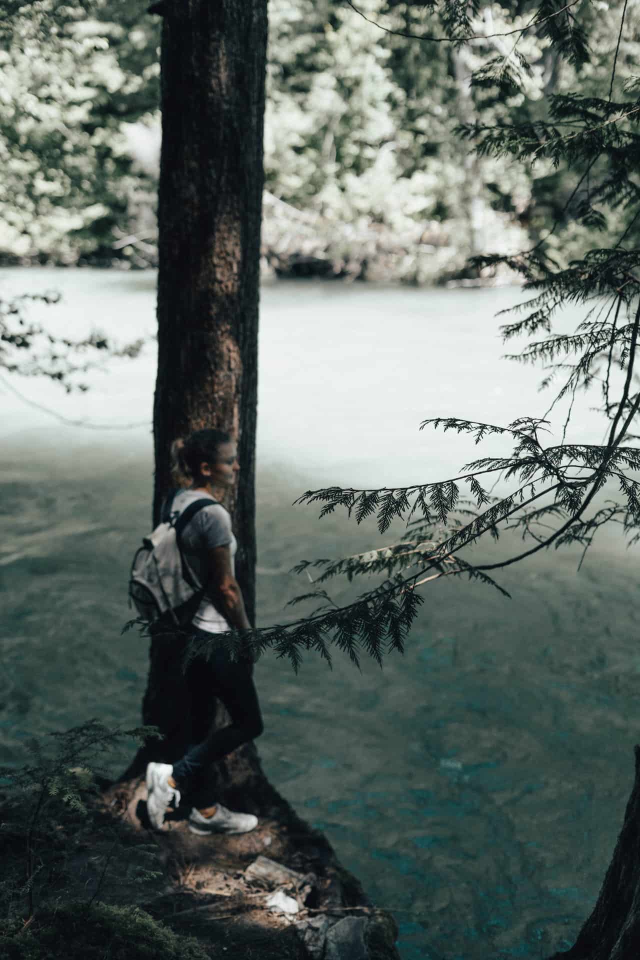 Thunder creek trail outlet north cascades