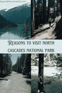 North Cascades pin