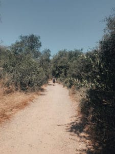 Los Penasquitos Trail