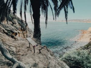 Seals, Secret Swing, and Water Activities at La Jolla Cove