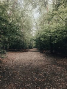 Virginia waterfall trail