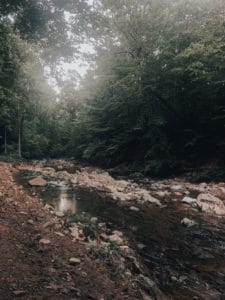 Virginia Scott's Run Waterfall trail