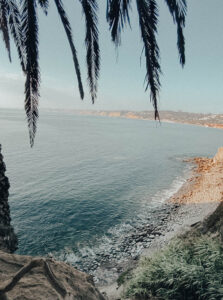 Seals, Secret Swing, and Water Activities at La Jolla Cove