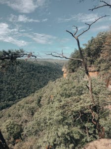 West Virginia Endless Wall Trail