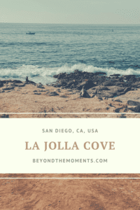 Seals, Secret Swing, and Water Activities at La Jolla Cove