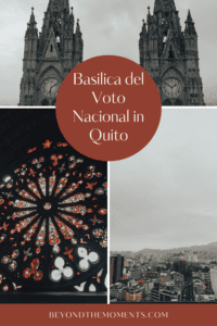 Basilica del Voto Nacional pin