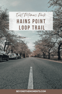 Hains Point Loop Trail pin