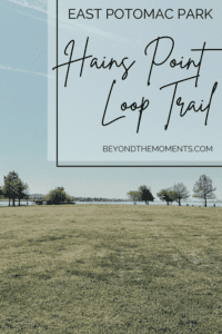 Hains Point Trail pin