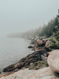 Otter Cliffs Overlook