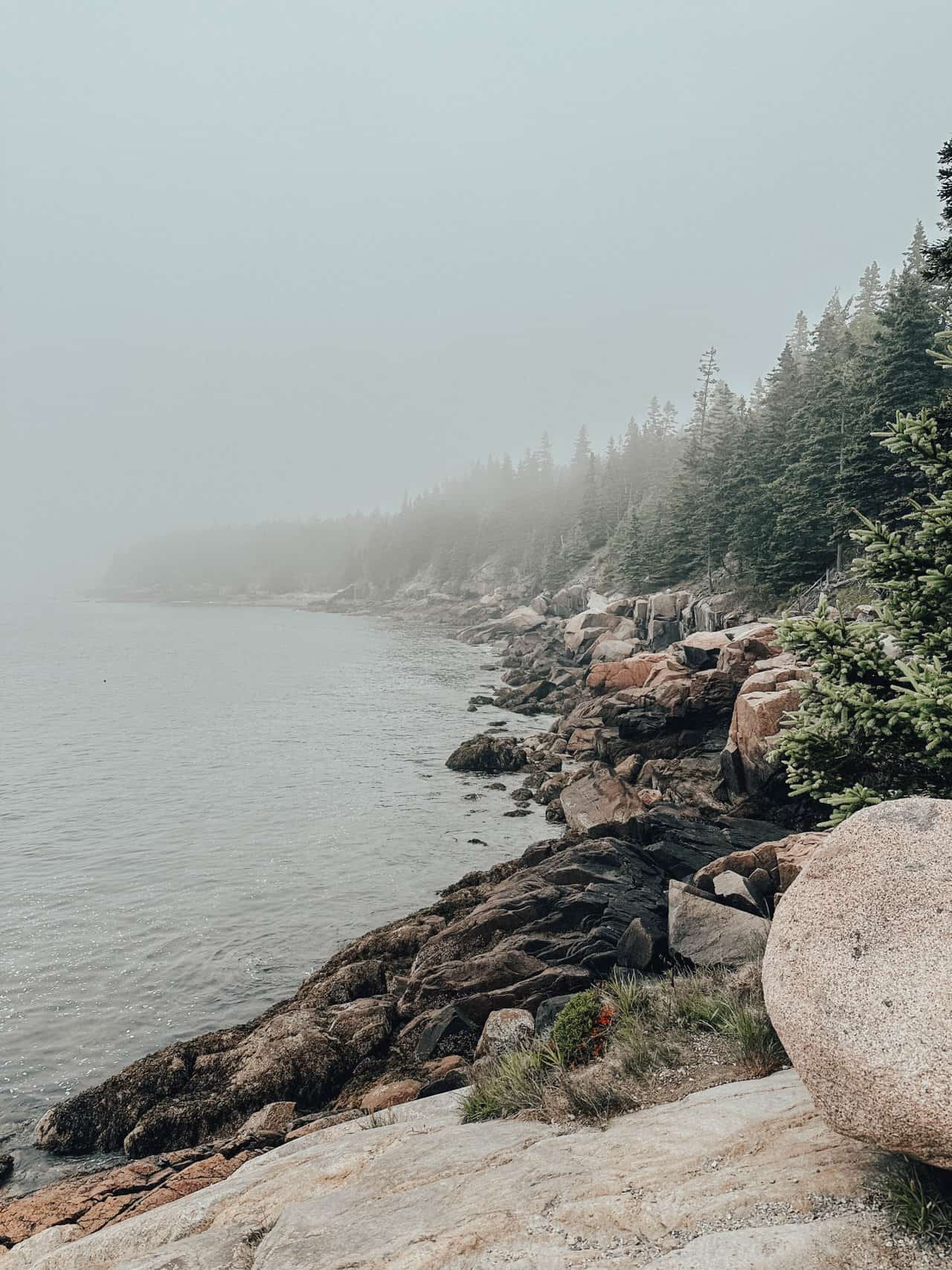 Otter Cliff Overlook