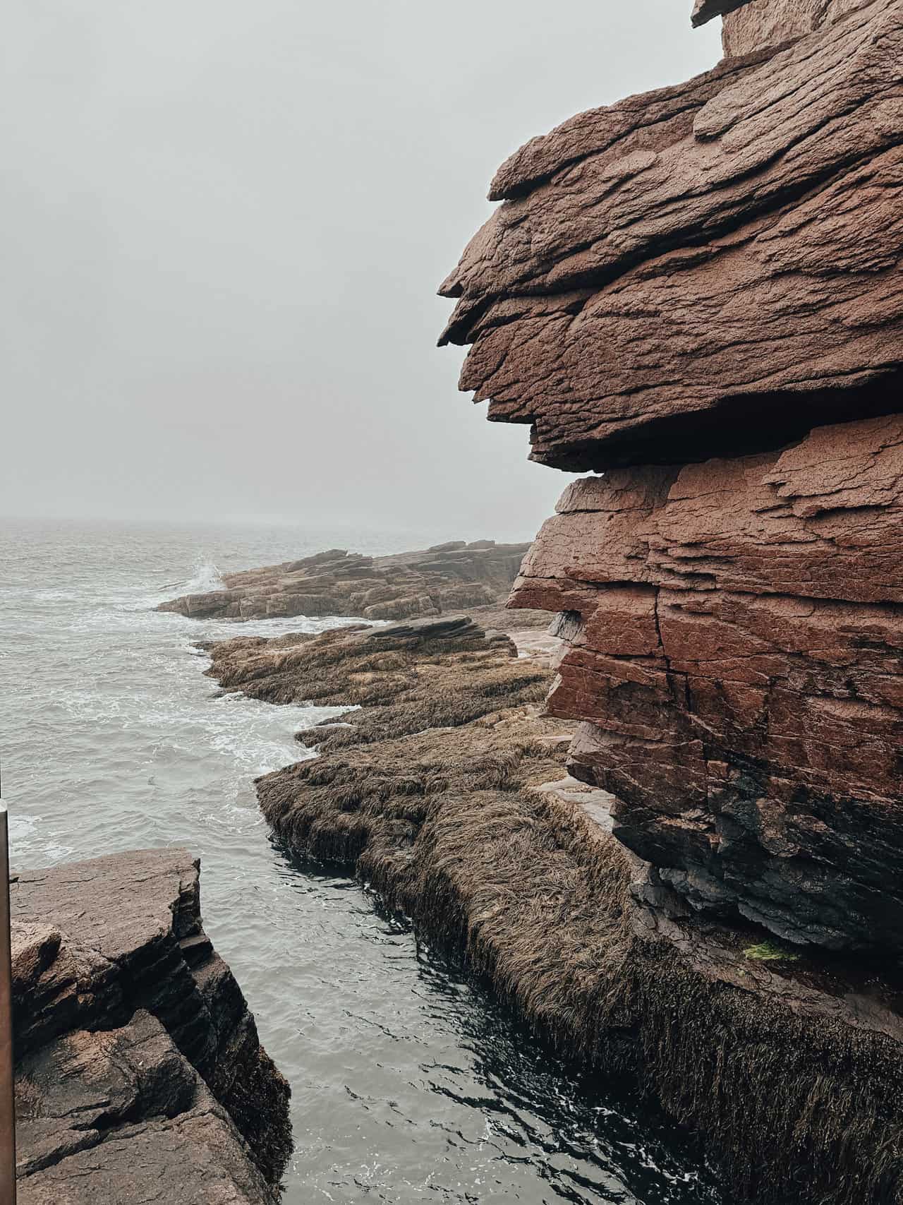 Ocean Path Trail