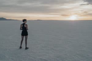 Salt Flats rest area westbound