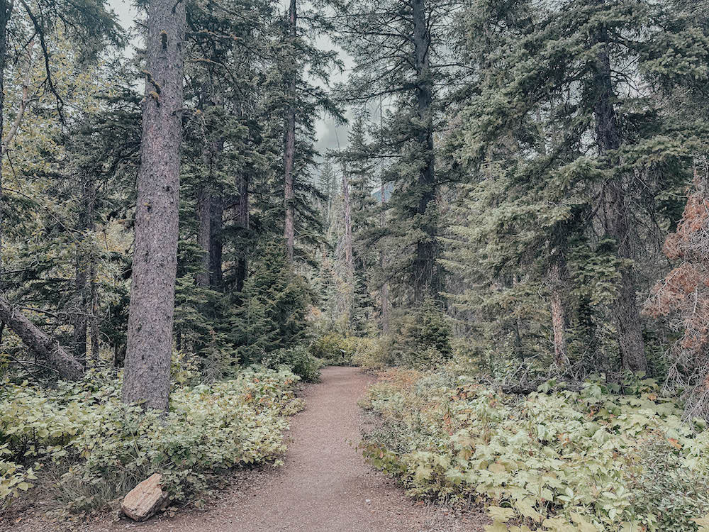 Two Medicine hiking trails